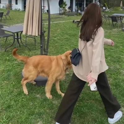 南宋猎人之决战御街